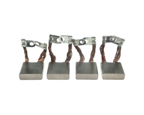 Carbon brush, starter motor