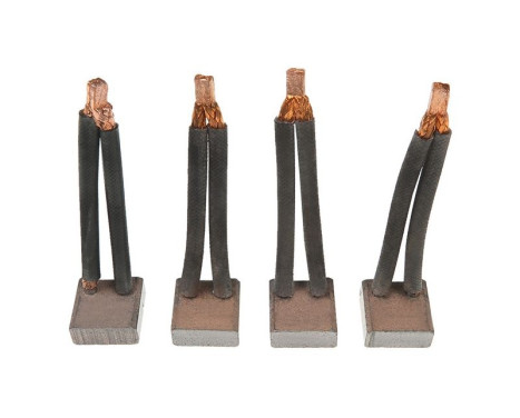 Carbon brush, starter motor