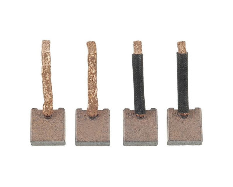 Carbon brush, starter motor