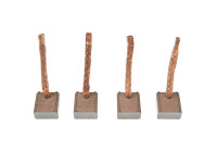 Carbon brush, starter motor