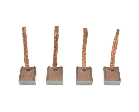 Carbon brush, starter motor