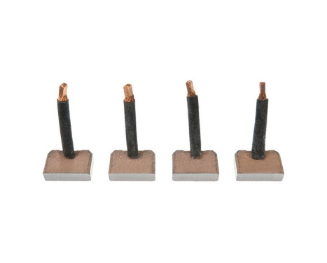 Carbon brush, starter motor