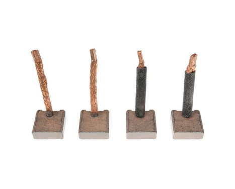 Carbon brush, starter motor