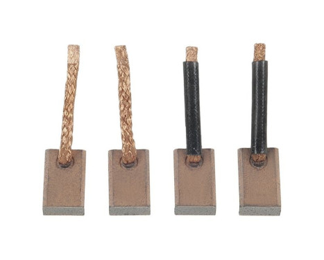 Carbon brush, starter motor