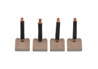 Carbon brush, starter motor