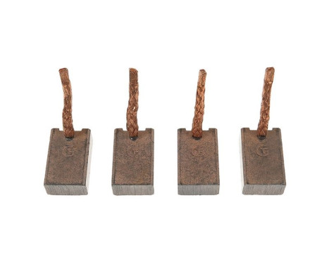 Carbon brush, starter motor