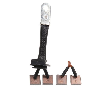 Carbon brush, starter motor