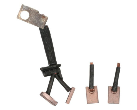 Carbon brush, starter motor