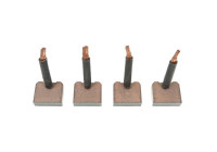 Carbon brush, starter motor