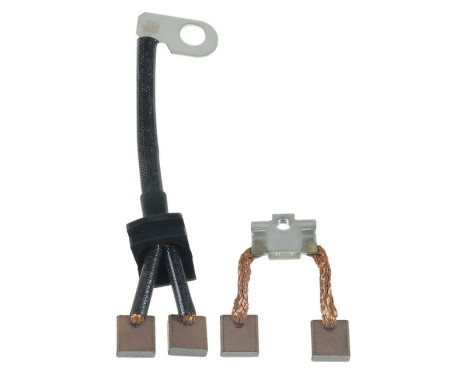 Carbon brush, starter motor