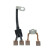 Carbon brush, starter motor