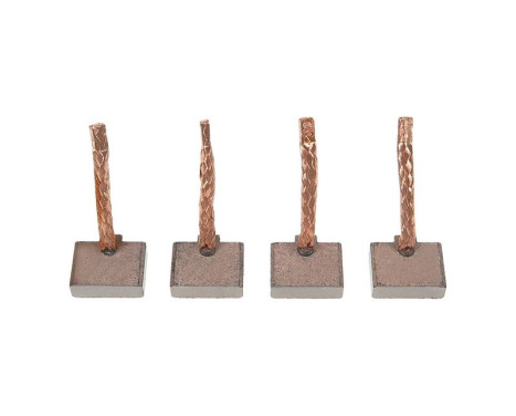 Carbon brush, starter motor