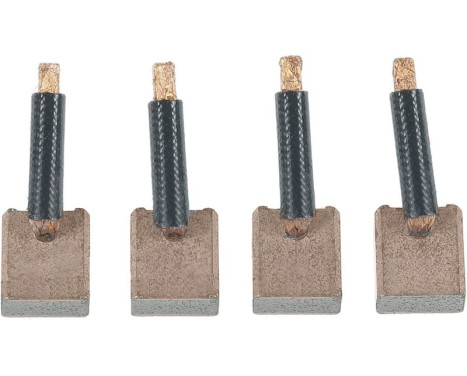 Carbon brush, starter motor