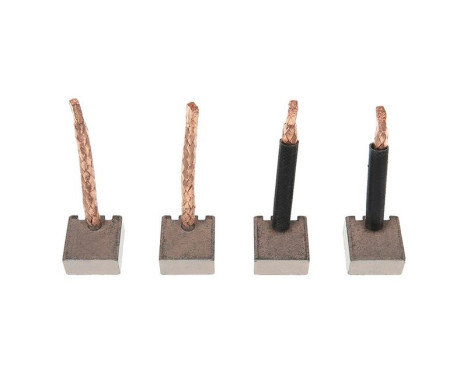 Carbon brush, starter motor