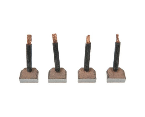 Carbon brush, starter motor