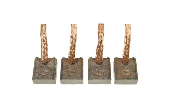 Carbon brush, starter motor