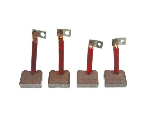 Carbon brush, starter motor