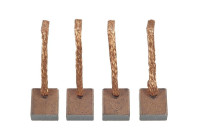 Carbon brush, starter motor