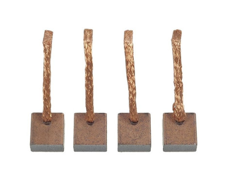 Carbon brush, starter motor