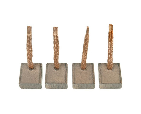 Carbon brush, starter motor