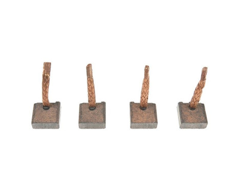 Carbon brush, starter motor