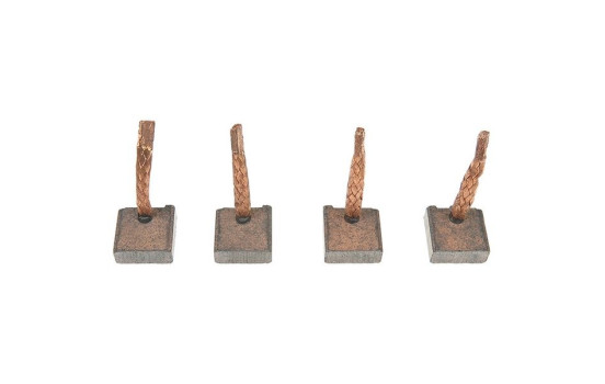 Carbon brush, starter motor