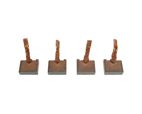 Carbon brush, starter motor