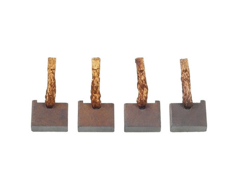 Carbon brush, starter motor