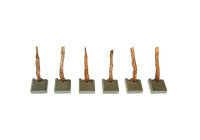 Carbon brush, starter motor