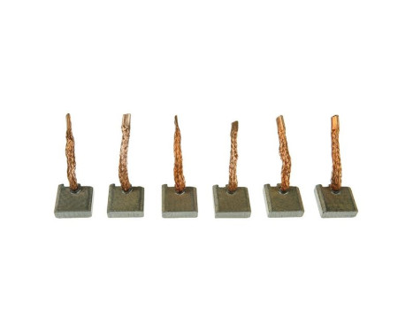 Carbon brush, starter motor