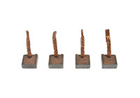 Carbon brush, starter motor