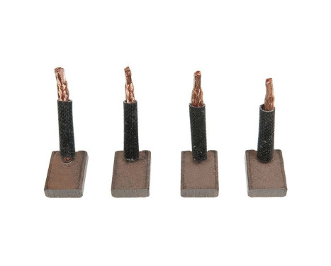 Carbon brush, starter motor