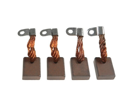 Carbon brush, starter motor