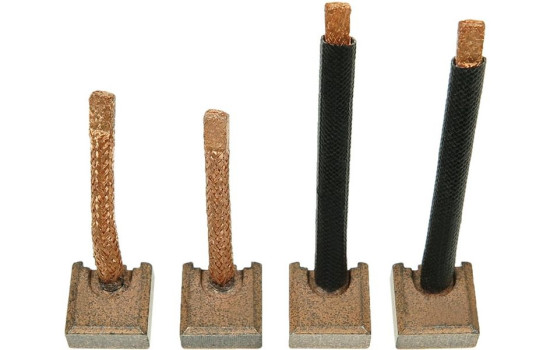 Carbon brush, starter motor