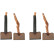 Carbon brush, starter motor