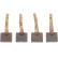 Carbon brush, starter motor