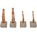 Carbon brush, starter motor