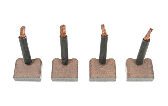 Carbon brush, starter motor