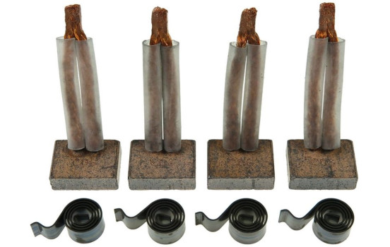 Carbon brush, starter motor