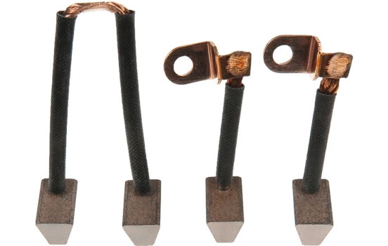 Carbon brush, starter motor