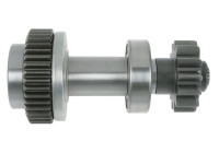 Free wheel drive, starter