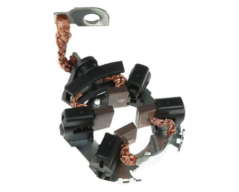 Holder, carbon brush