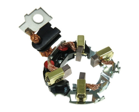 Holder, carbon brush