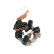 Holder, carbon brush
