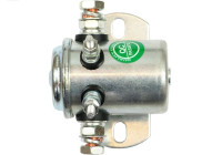 Magnetic switch, starter motor