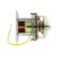 Magnetic switch, starter motor