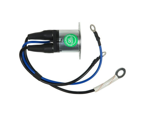 Magnetic switch, starter motor