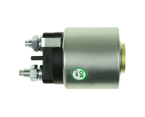 Magnetic switch, starter motor