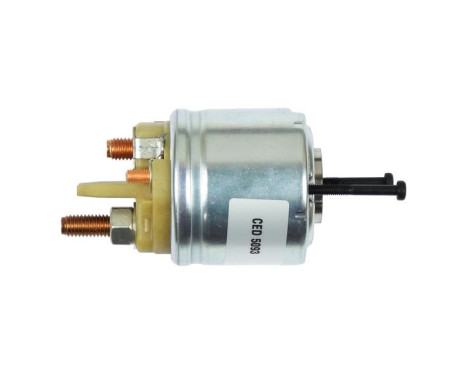 Magnetic switch, starter motor