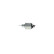 Magnetic switch, starter motor